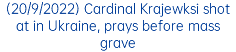 (20/9/2022) Cardinal Krajewksi shot at in Ukraine, prays before mass grave