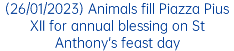 (26/01/2023) Animals fill Piazza Pius XII for annual blessing on St Anthony's feast day