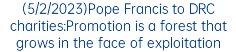 (5/2/2023)Pope Francis to DRC charities:Promotion is a forest that grows in the face of exploitation