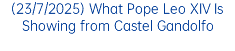 (23/6/2025) Summary of Pope Leo XIV's Catechesis on the Healing of the Paralytic