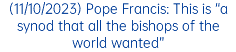 (11/10/2023) Pope Francis: This is “a synod that all the bishops of the world wanted”