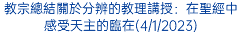 教宗總結關於分辨的教理講授：在聖經中感受天主的臨在(4/1/2023)