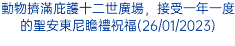 動物擠滿庇護十二世廣場，接受一年一度的聖安東尼瞻禮祝福(26/01/2023)