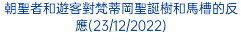 朝聖者和遊客對梵蒂岡聖誕樹和馬槽的反應(23/12/2022)