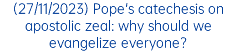 (27/11/2023) Pope's catechesis on apostolic zeal: why should we evangelize everyone?